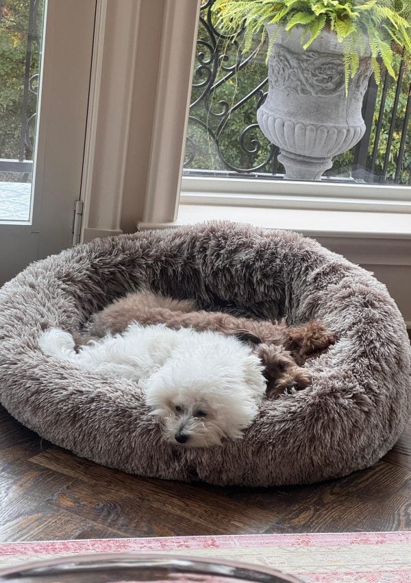 ’tis the season Saturday {BIRTHDAY EDITION!}