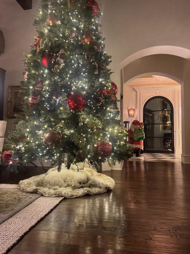 ’tis the season Saturday {11.15.25}