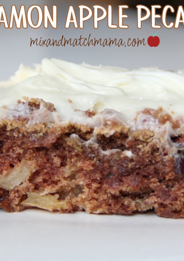 Cinnamon Apple Pecan Cake